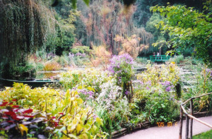 Lilypond_4